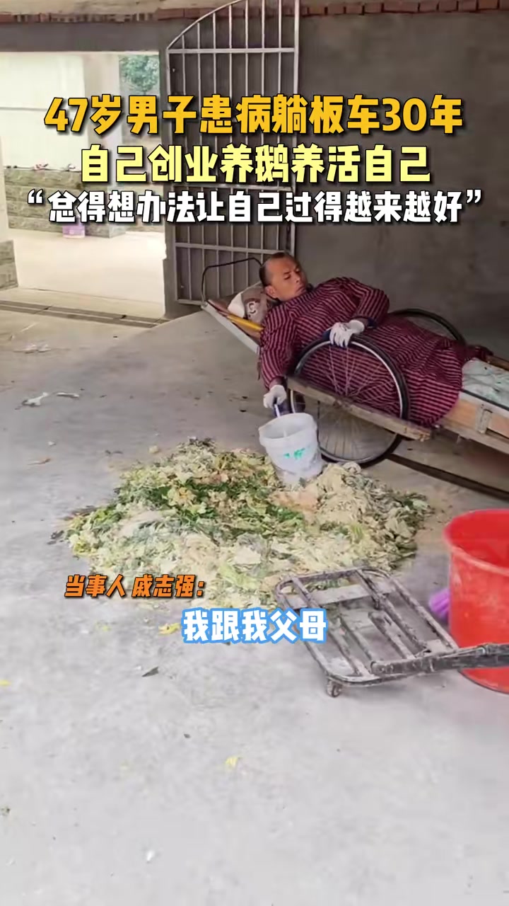 47岁男子患病躺板车30年，自己创业养鹅养活自己