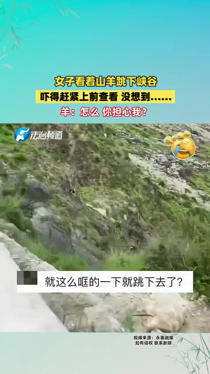 女子看着山羊跳下峡谷吓得赶紧上前查看没想到