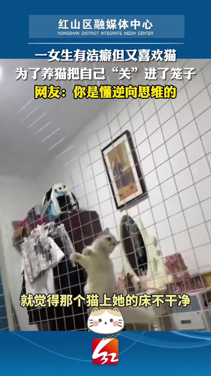 女生因为有洁癖却依然爱猫，为了能够养猫，她竟然