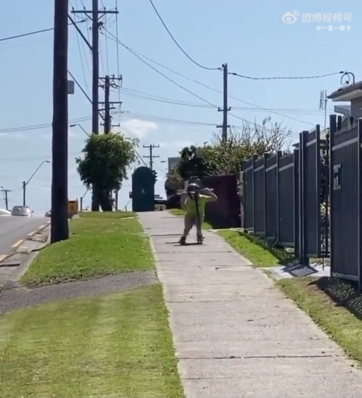 这小孩肯定捣蛋了，喜鹊正常也不攻击人呐
