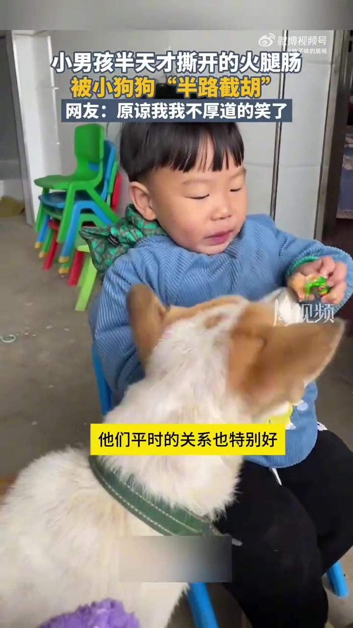 小男孩半天才撕开的火腿肠，被小狗狗“半路截胡”