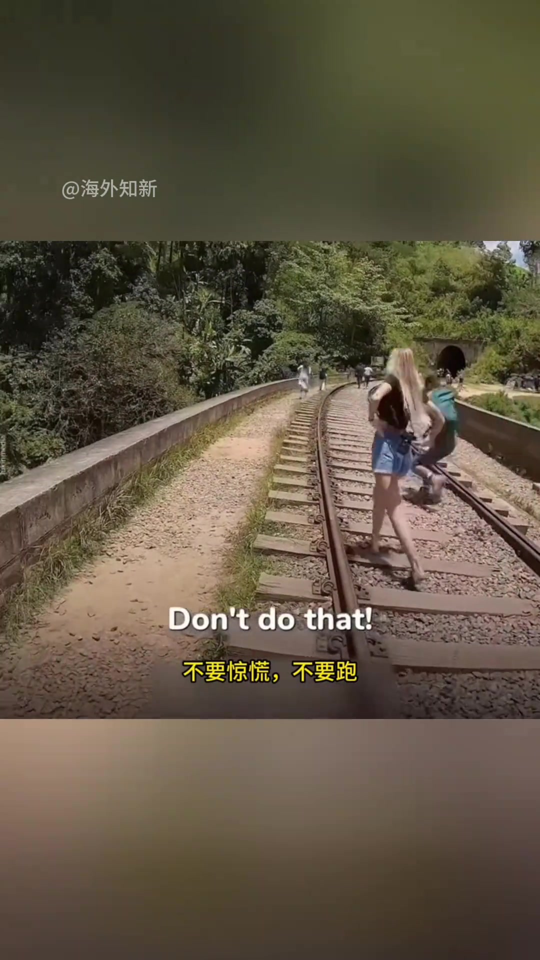 被马蜂袭击怎么办