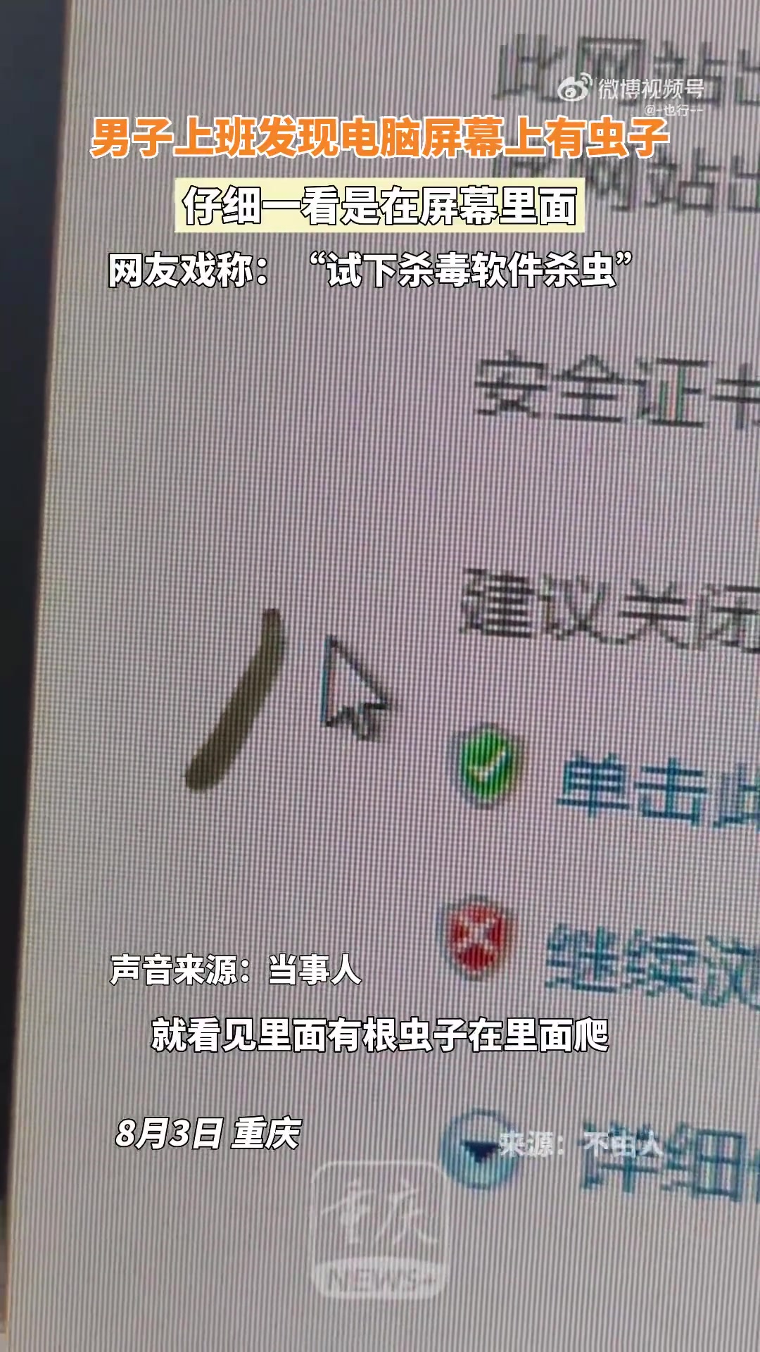 重庆一男子上班发现电脑屏幕里有虫子在爬