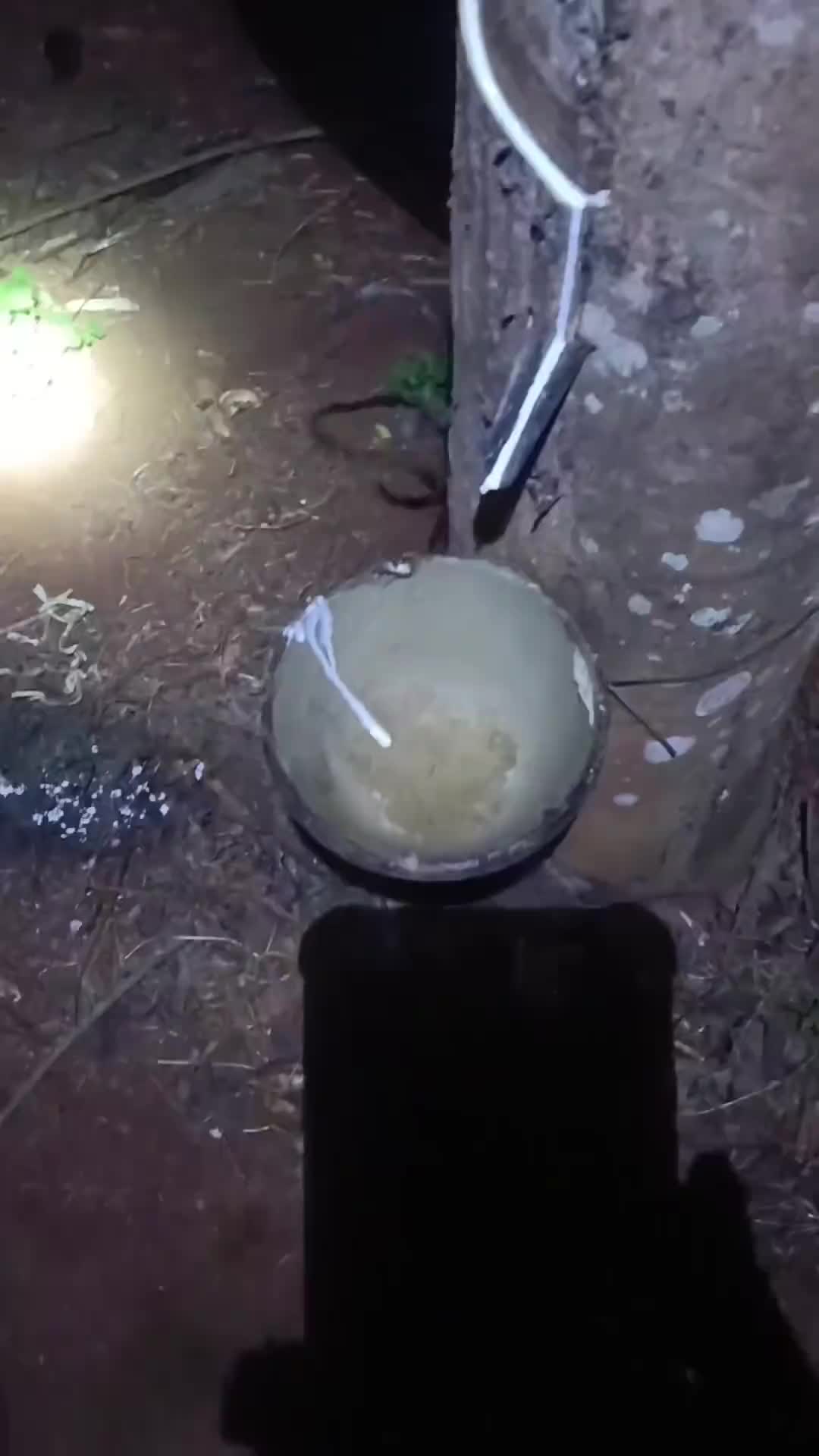 票起来了，怎么回事是胶球得意还是胶水的忘形