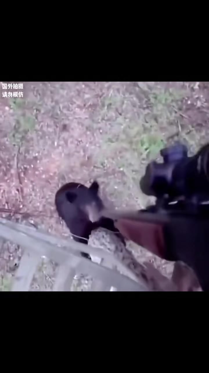 熊：你瞅你，又急！玩不起啊