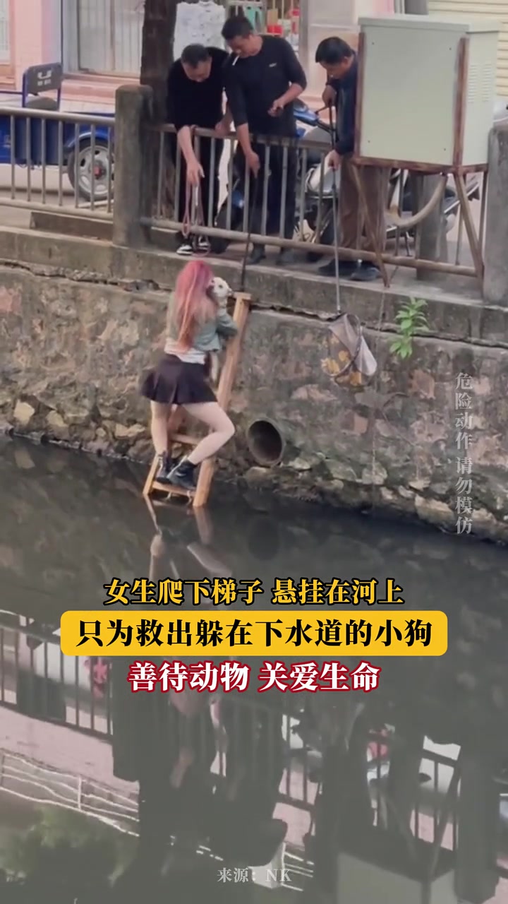 女生爬下梯子悬挂在河上，只为救出躲在下水道的小狗！