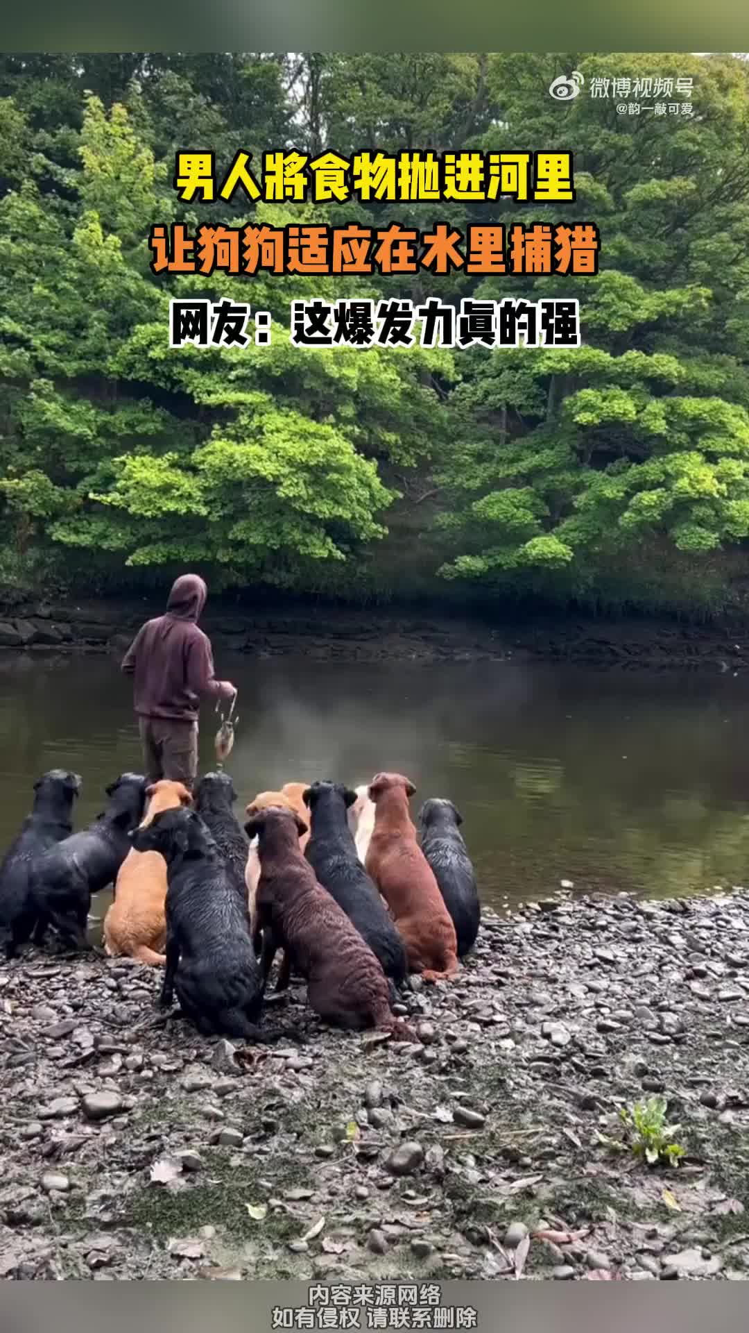 这爆发力是真的强悍啊！