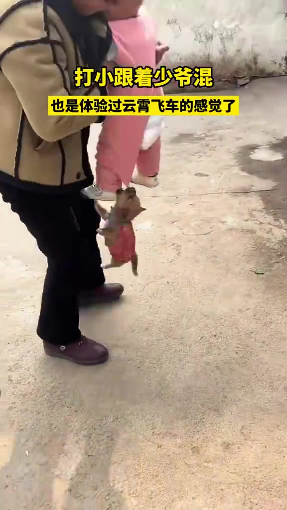 狗子从小跟着少爷混，也是体验起飞的感觉了！
