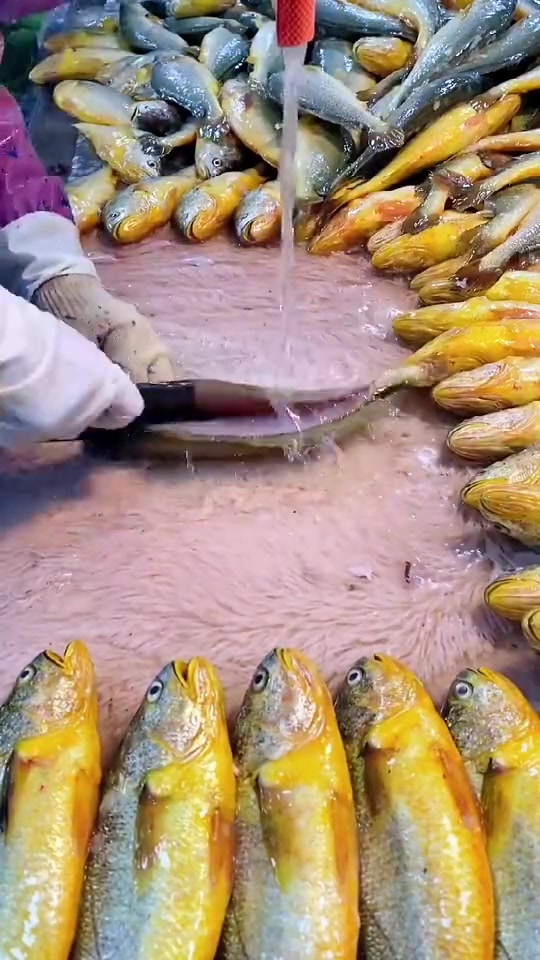 这鱼处理的太流畅了