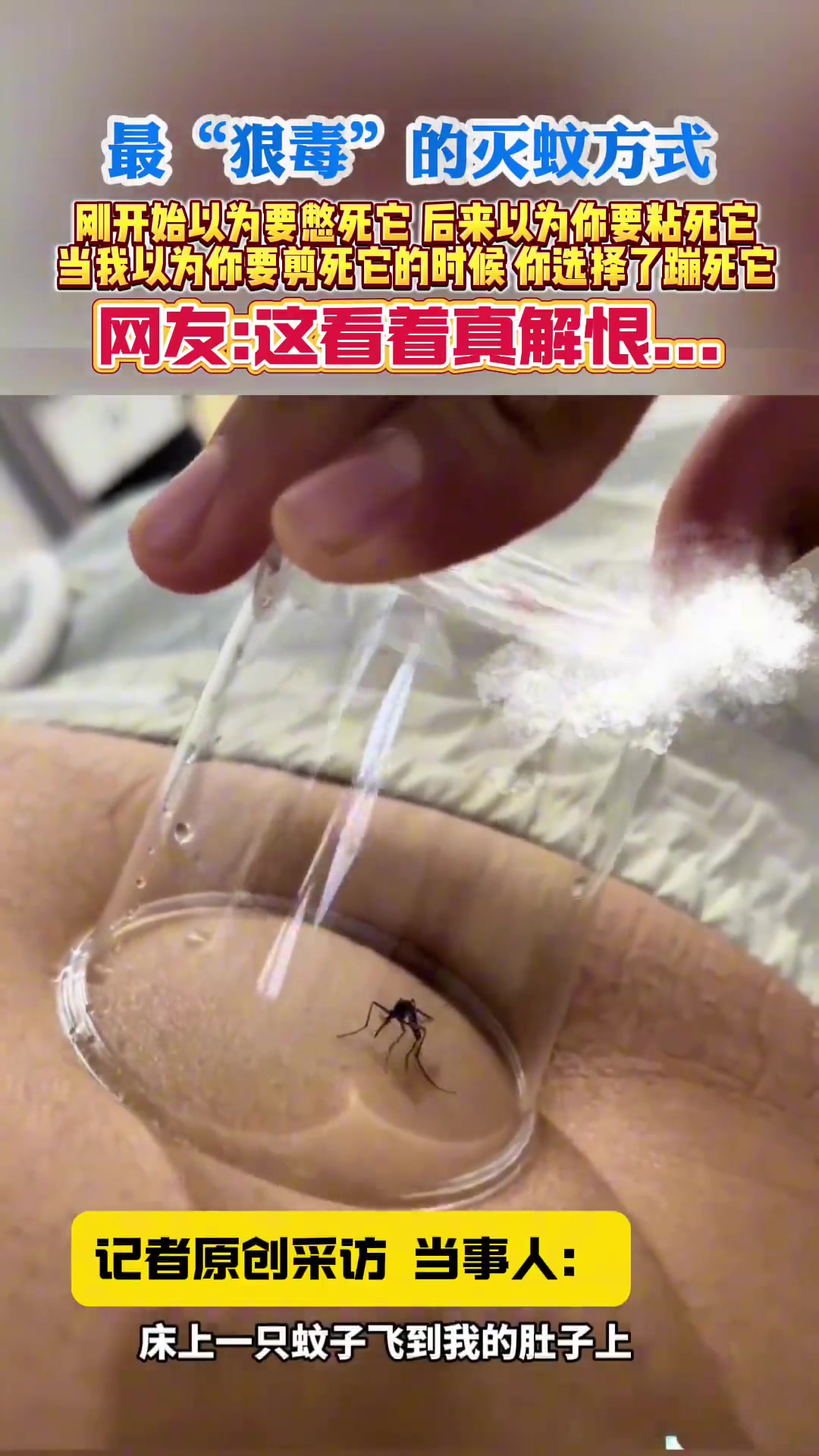 最“狠毒”的灭蚊方式，刚开始以为要憋死它，后来以为你要粘死它