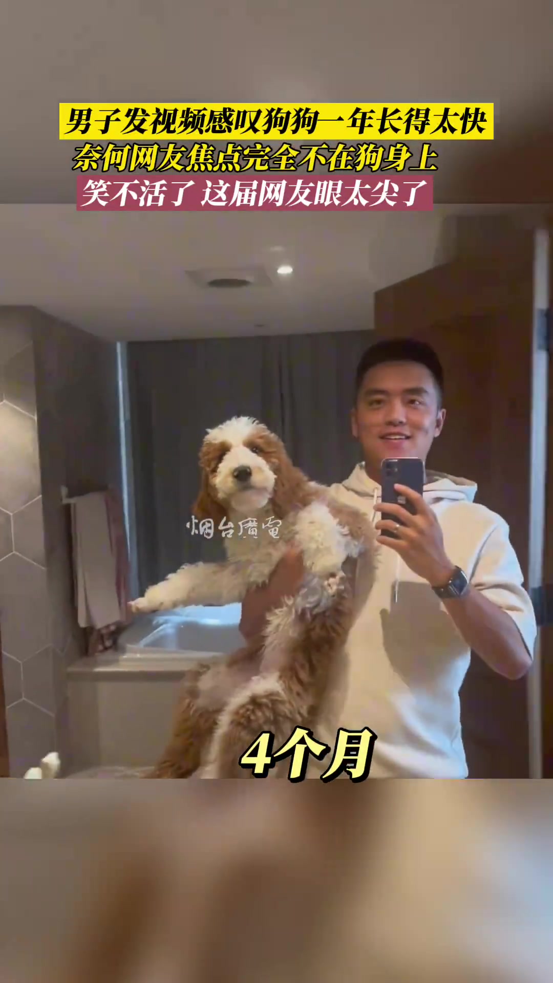 子发视频感叹狗狗一年长得太快，奈何网友焦点完全不在狗身上！