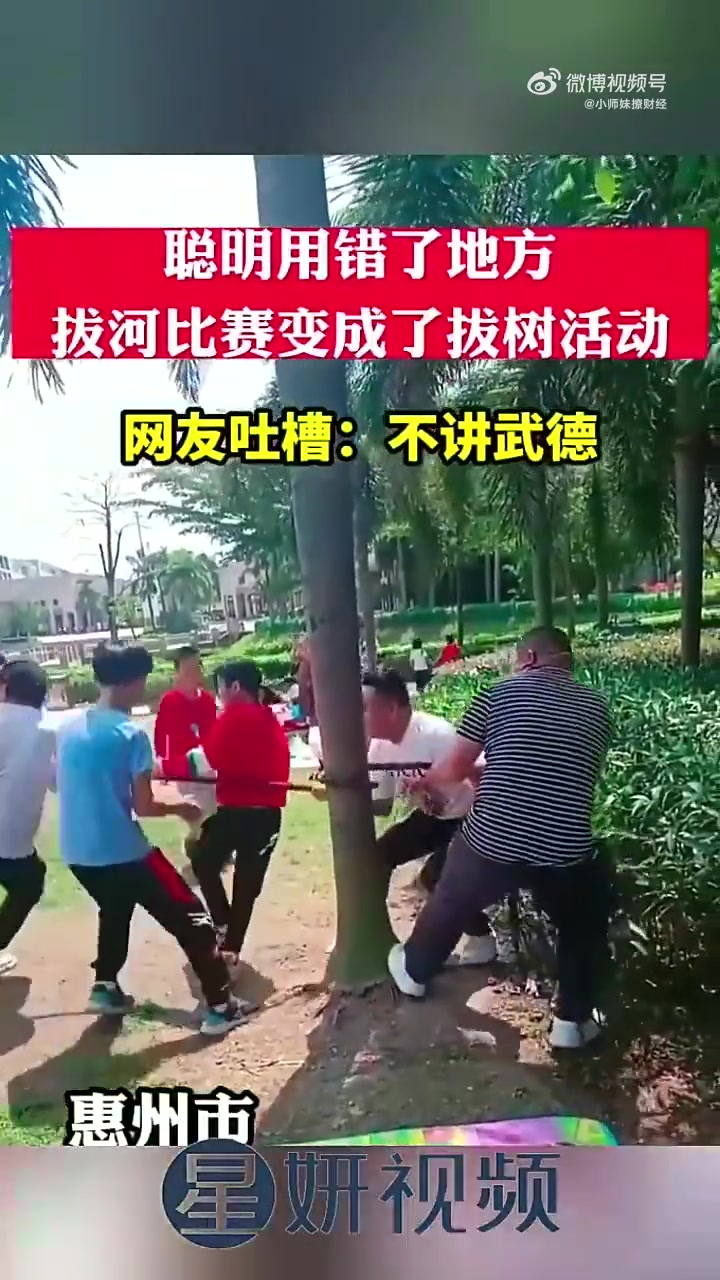 坏人品！聪明用错了地方，拔河比赛变成了拔树比赛