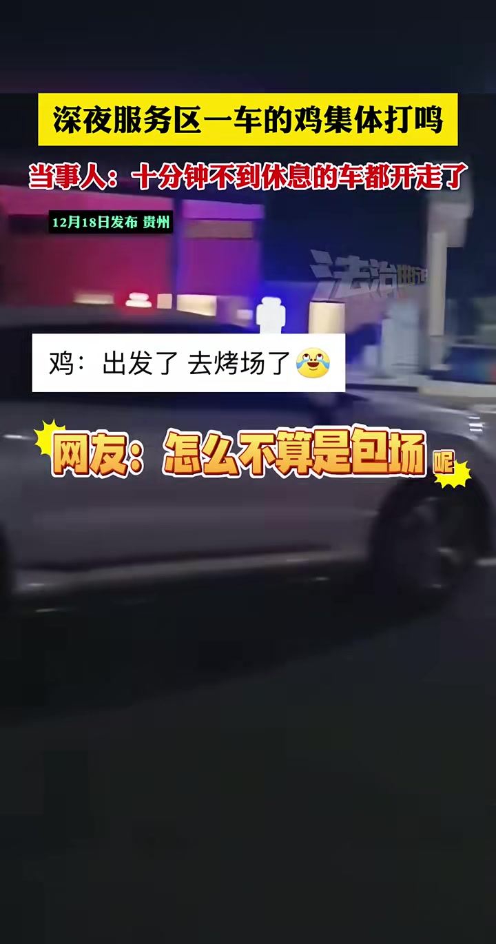 深夜服务区一车的鸡集体打鸣“十分钟不到休息的车都开走了”