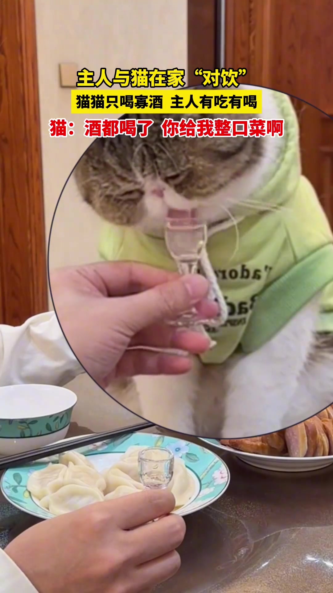 猫：酒都喝了你给我整口菜啊