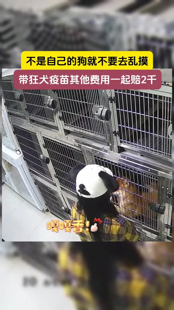 下次就长记性了不敢乱摸了！！！