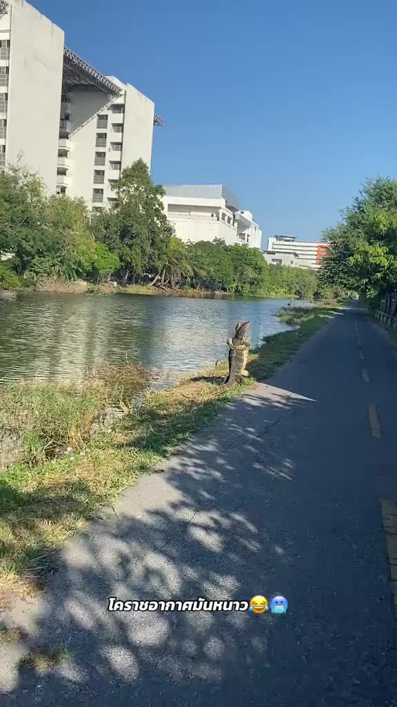 三嫂也会相亲相爱求抱抱，哈哈