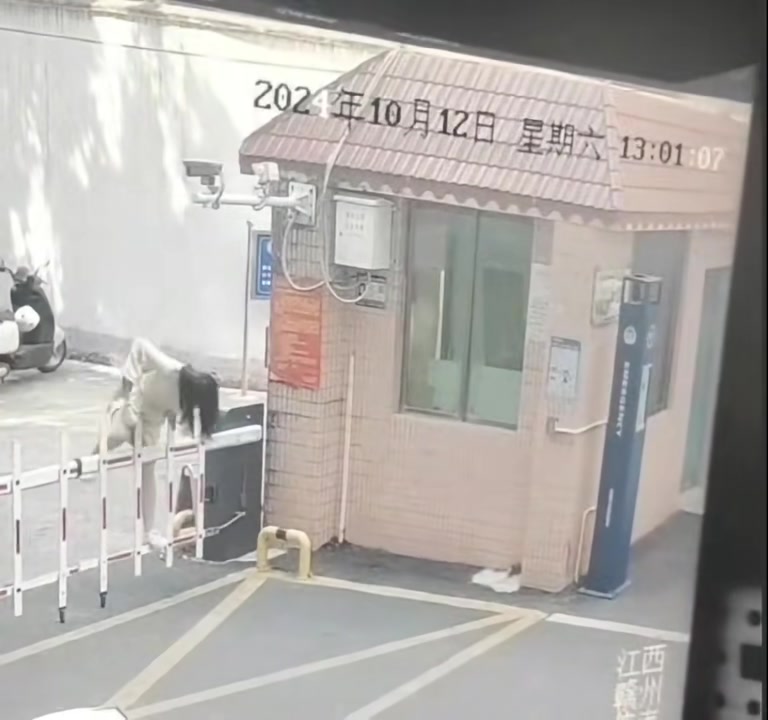 这是谁的部将怎可如此勇猛
