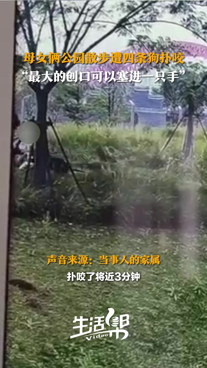 母亲带女儿散步遭狗扑咬韧带被咬断最大的创口可以塞进一只手
