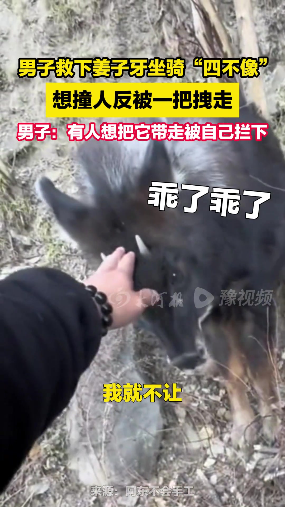 男子救下受伤的姜子牙坐骑“四不像”，想撞人反被一把拽走！