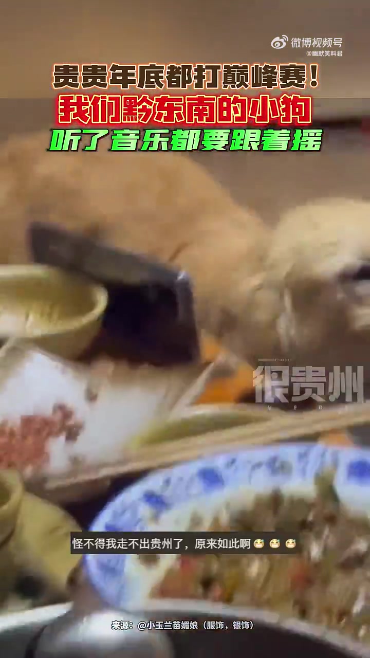 年底都打巅峰赛！我们黔东南的小狗听了音乐都要跟着摇