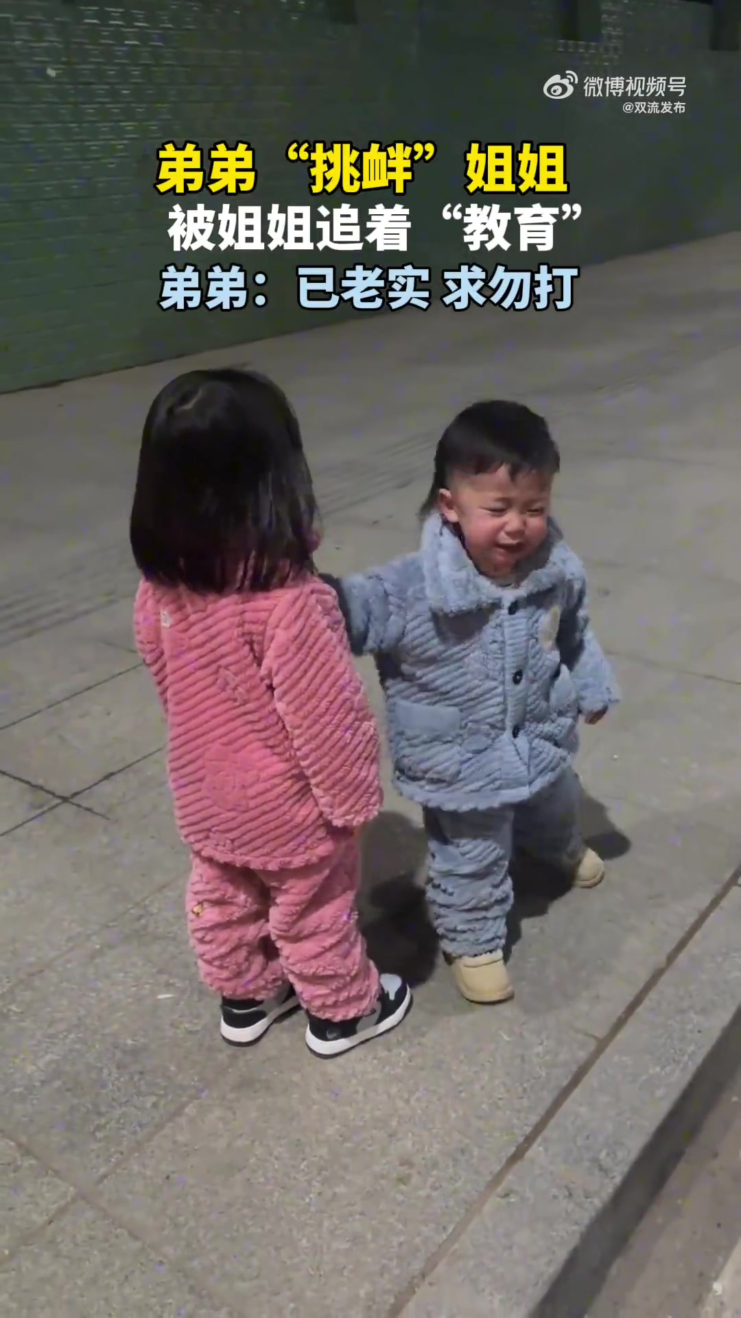 弟弟“挑衅”姐姐，被姐姐追着“教育”