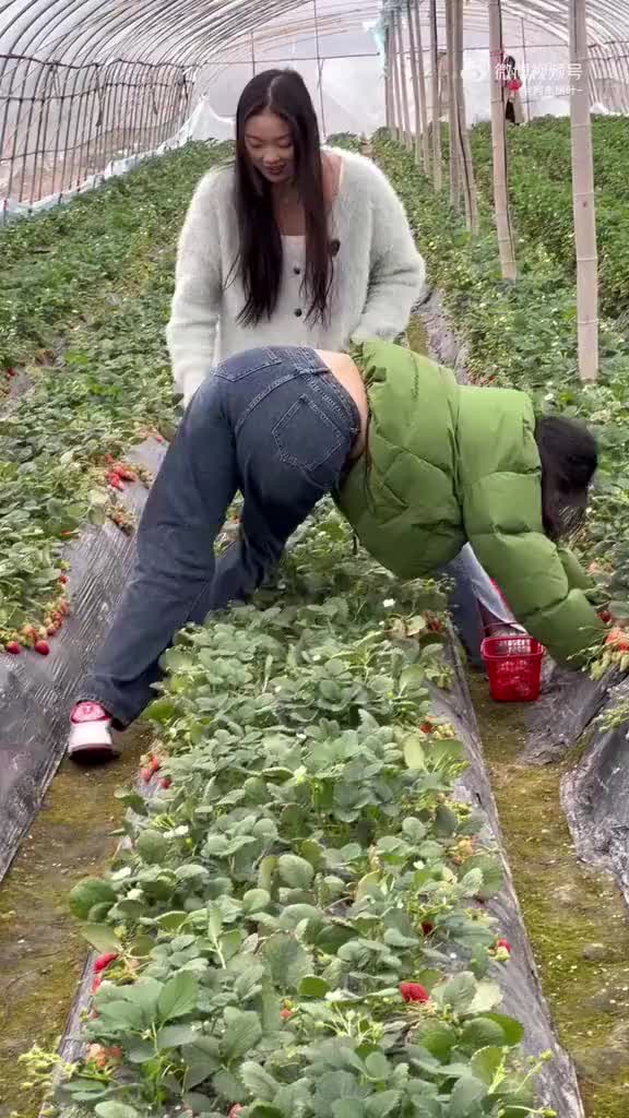 这姑娘实诚能处！坚决不踩菜地！！