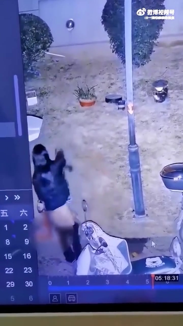 女子小区内随地方便！完事后竟用别人的衣服擦