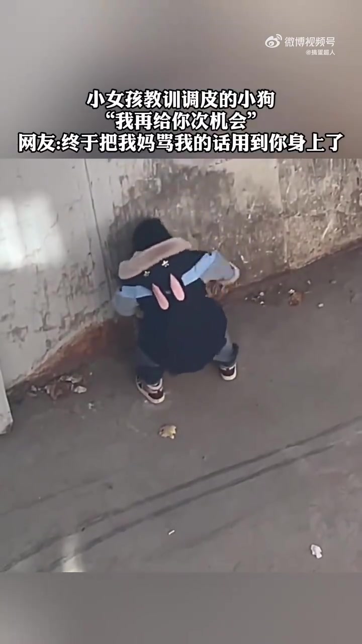 小女孩教训调皮小狗：“我再给你次机会”