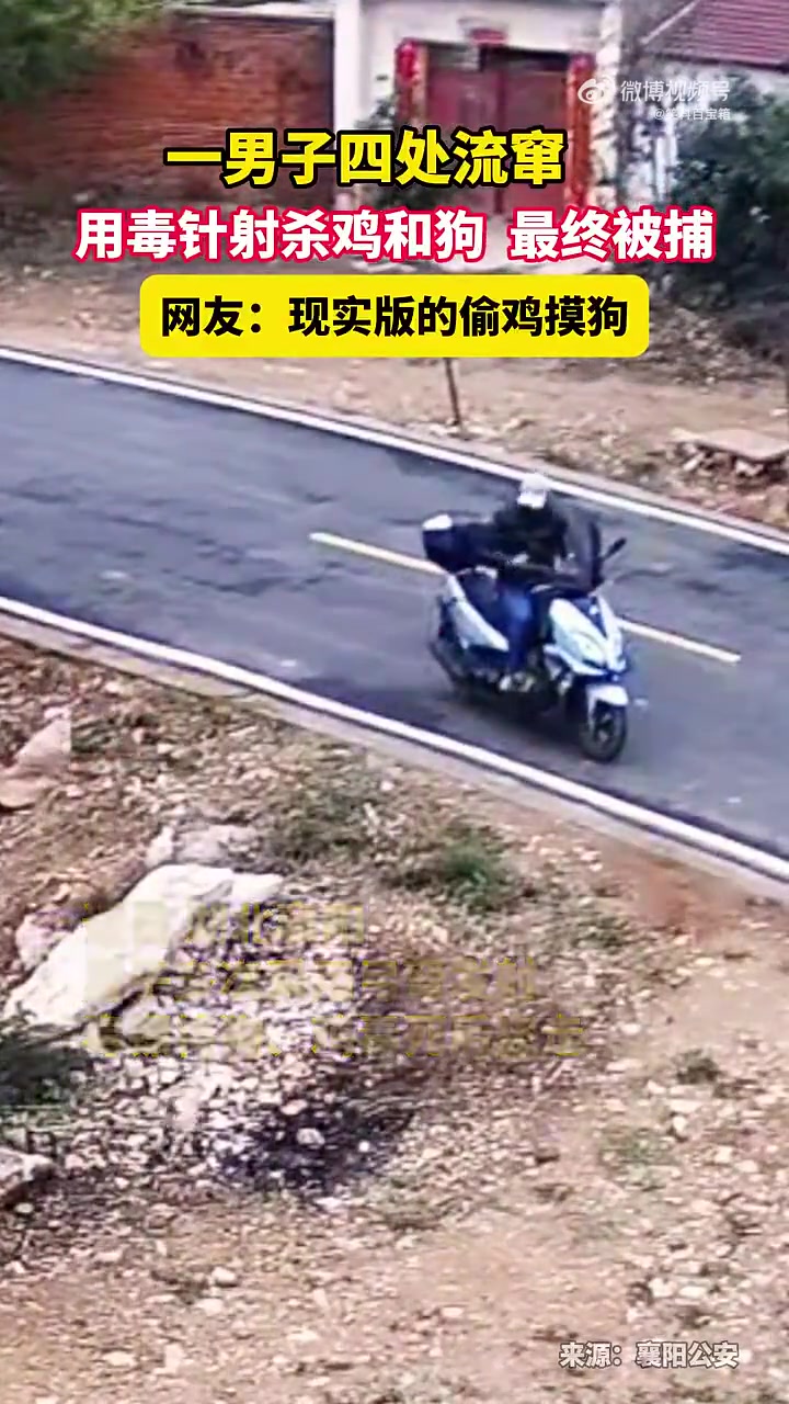 一男子用毒针射杀鸡狗终被捕，是现实版偷鸡摸狗