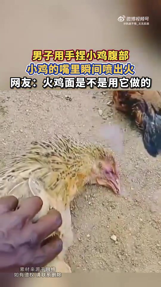 男子手捏小鸡腹部，小鸡嘴里喷火，网友：火鸡面原料