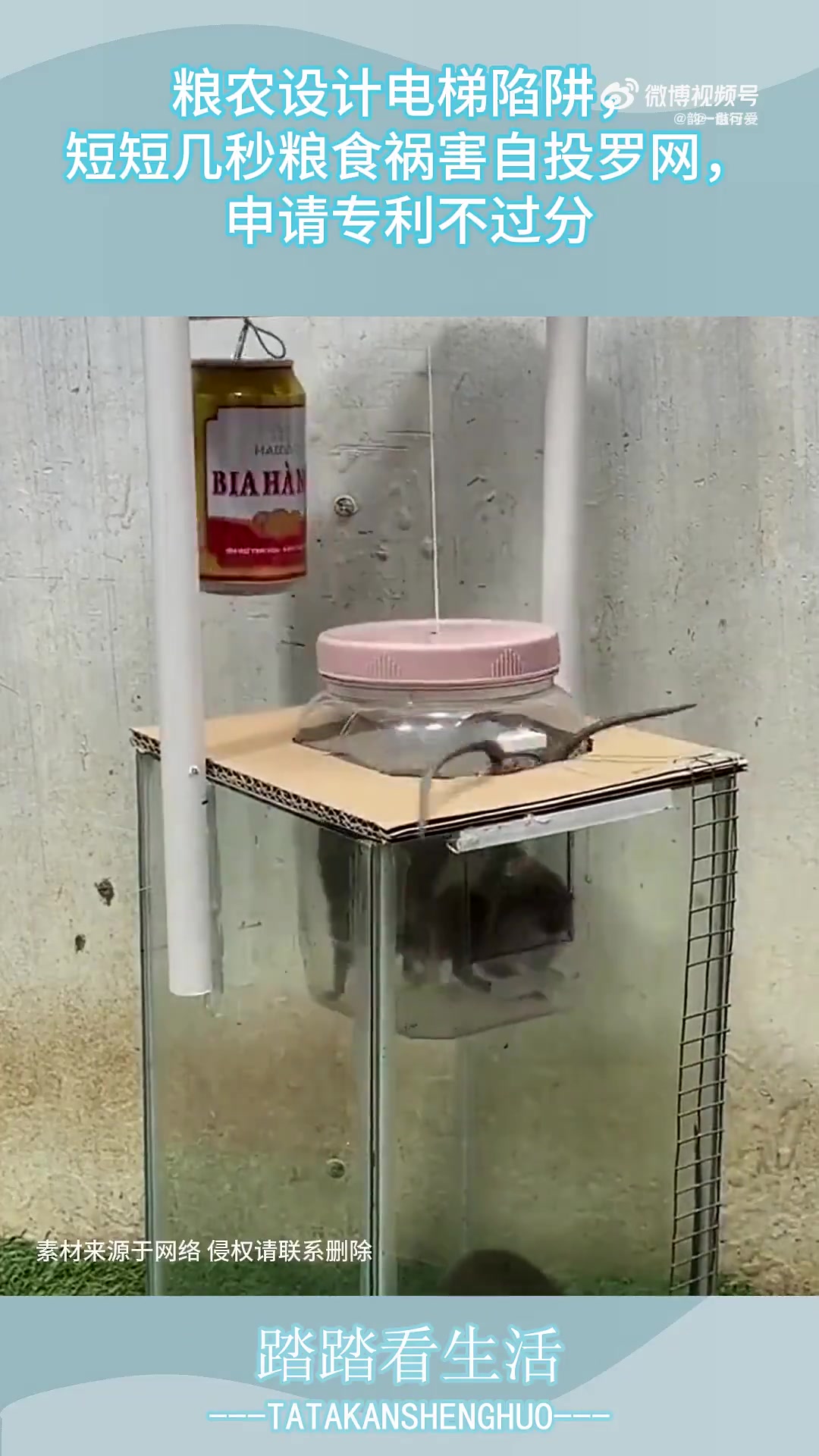 粮农设电梯陷阱，几秒粮食祸害自投罗网，申请专利不过分