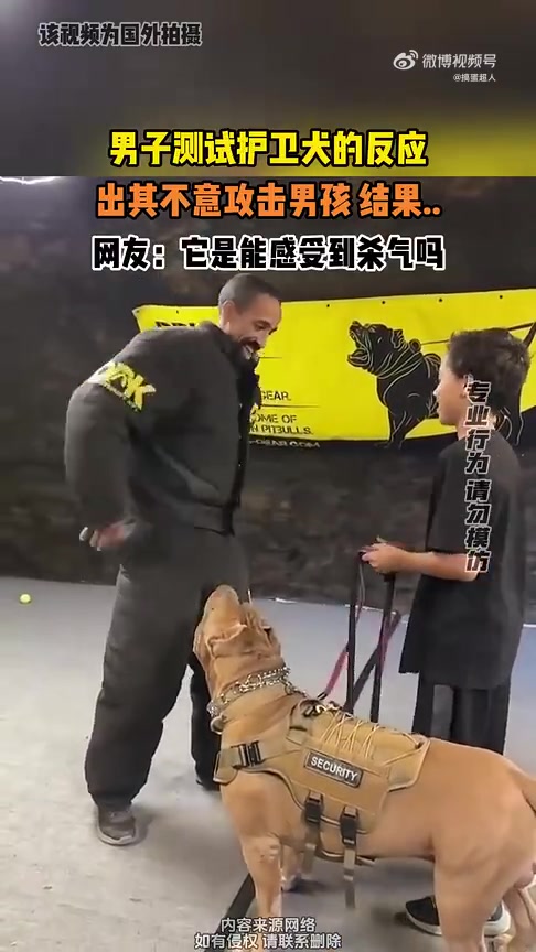 男子测试护卫犬，出其不意攻击男孩