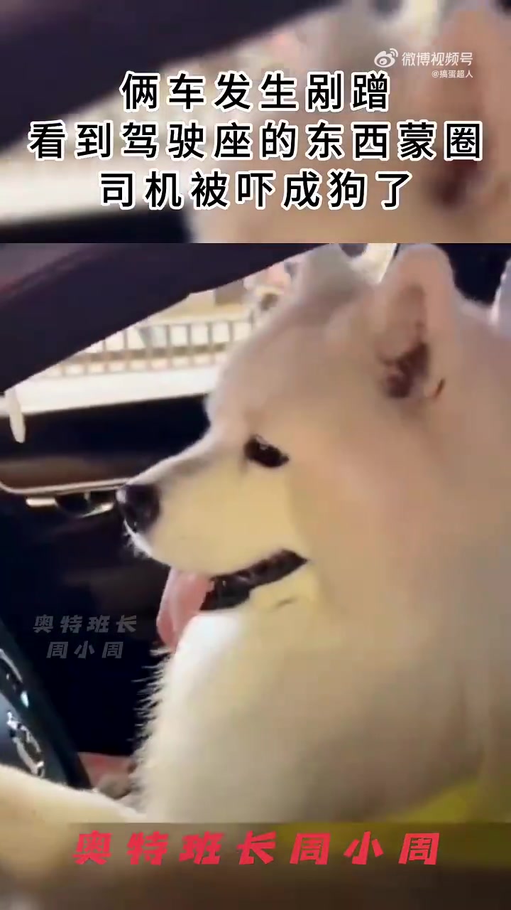 两车剐蹭，看到驾驶座让人蒙圈