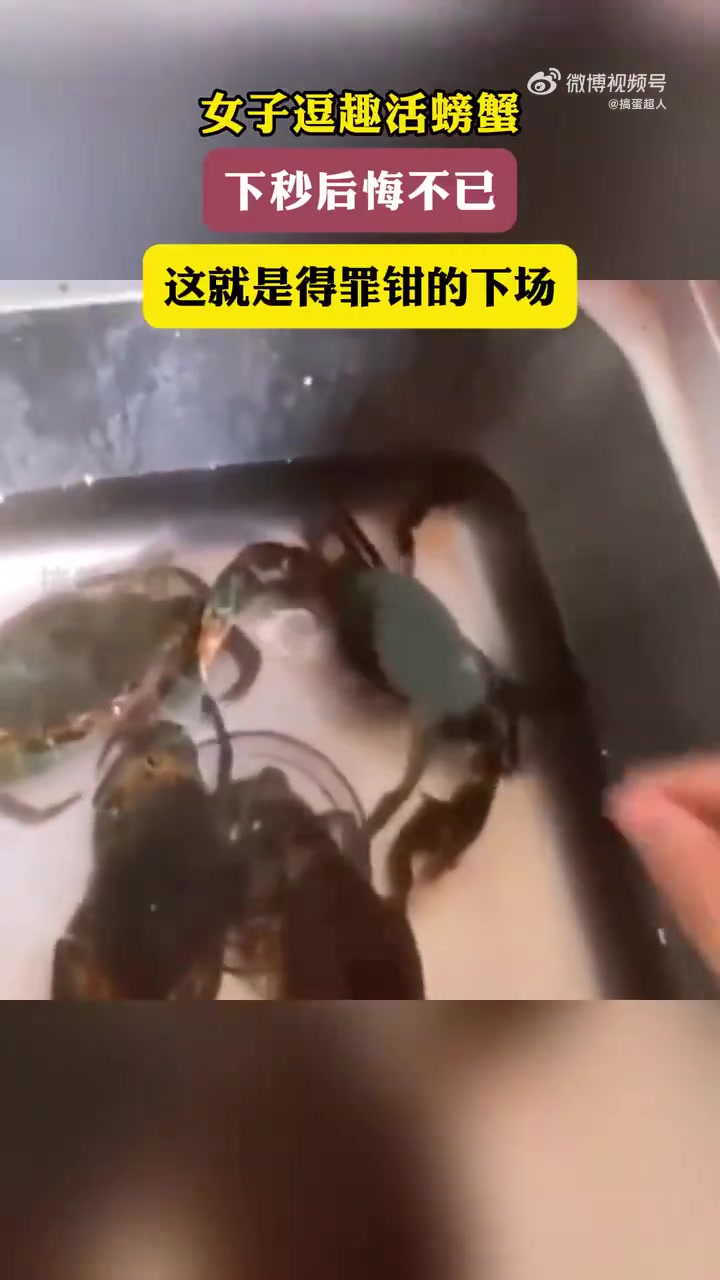女子逗趣活螃蟹，下秒后悔不已