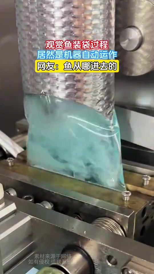观赏鱼装袋过程，居然是机器自动运作，网友：鱼从哪进去的