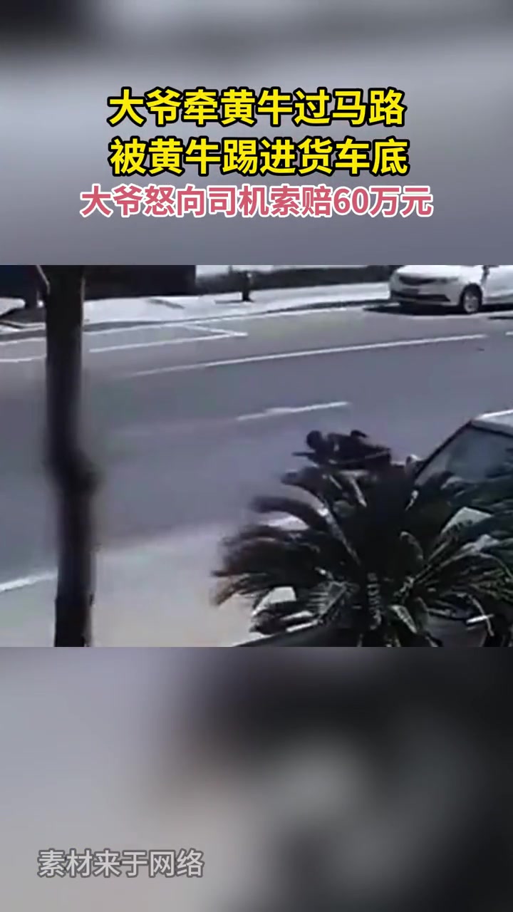 大爷牵黄牛过马路，却被黄牛踢进货车底，幸好人没事！