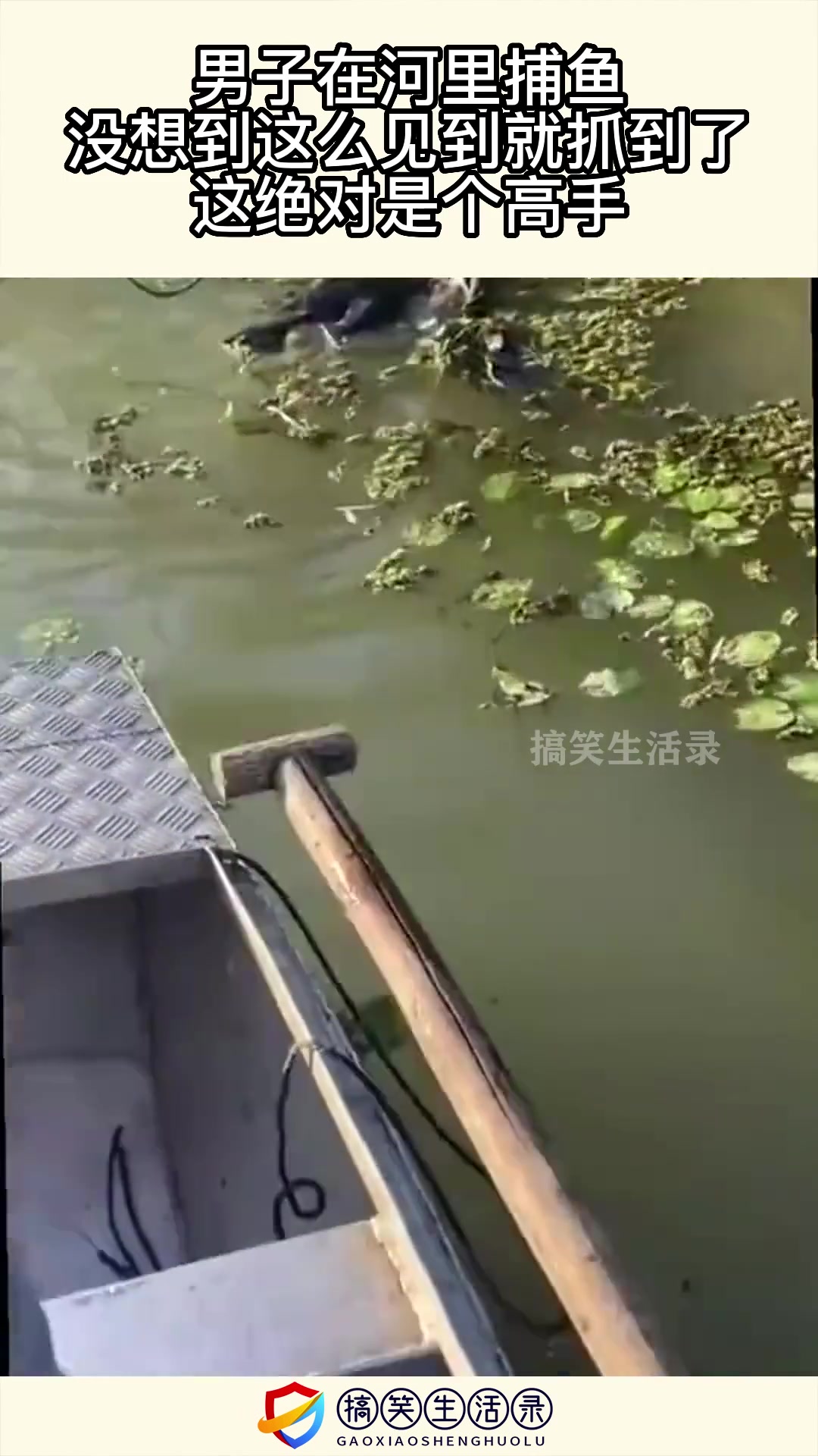 男子在河里捕鱼，没想到这么见到就抓到了，这绝对是个高手！！！
