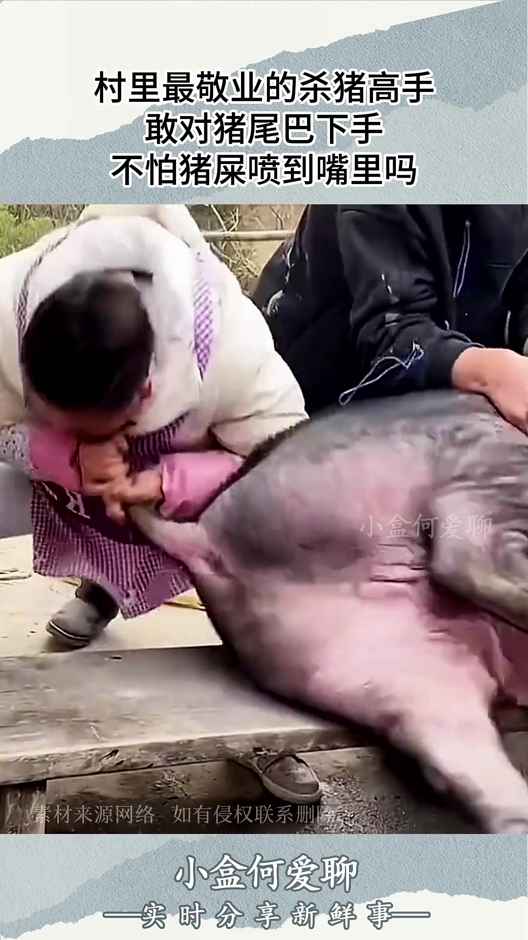 村里最敬业的杀猪高手，敢对猪尾巴下手，不怕猪屎喷到嘴里吗
