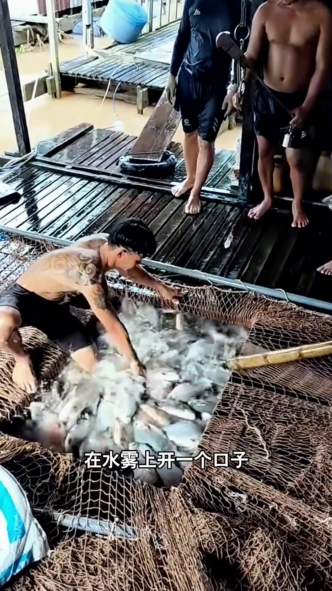 农村人养鱼的新玩法，这么小氧气够吗！