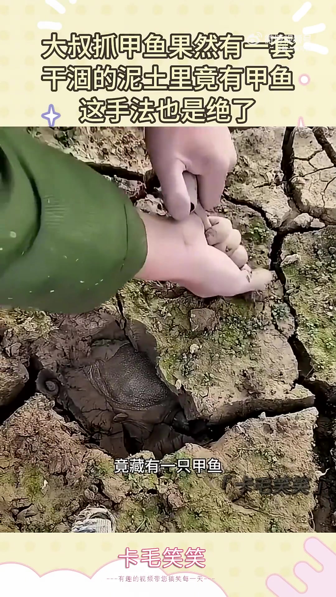 大叔抓甲鱼果然有一套，干涸的泥土里竟有甲鱼，这手法也是绝了！