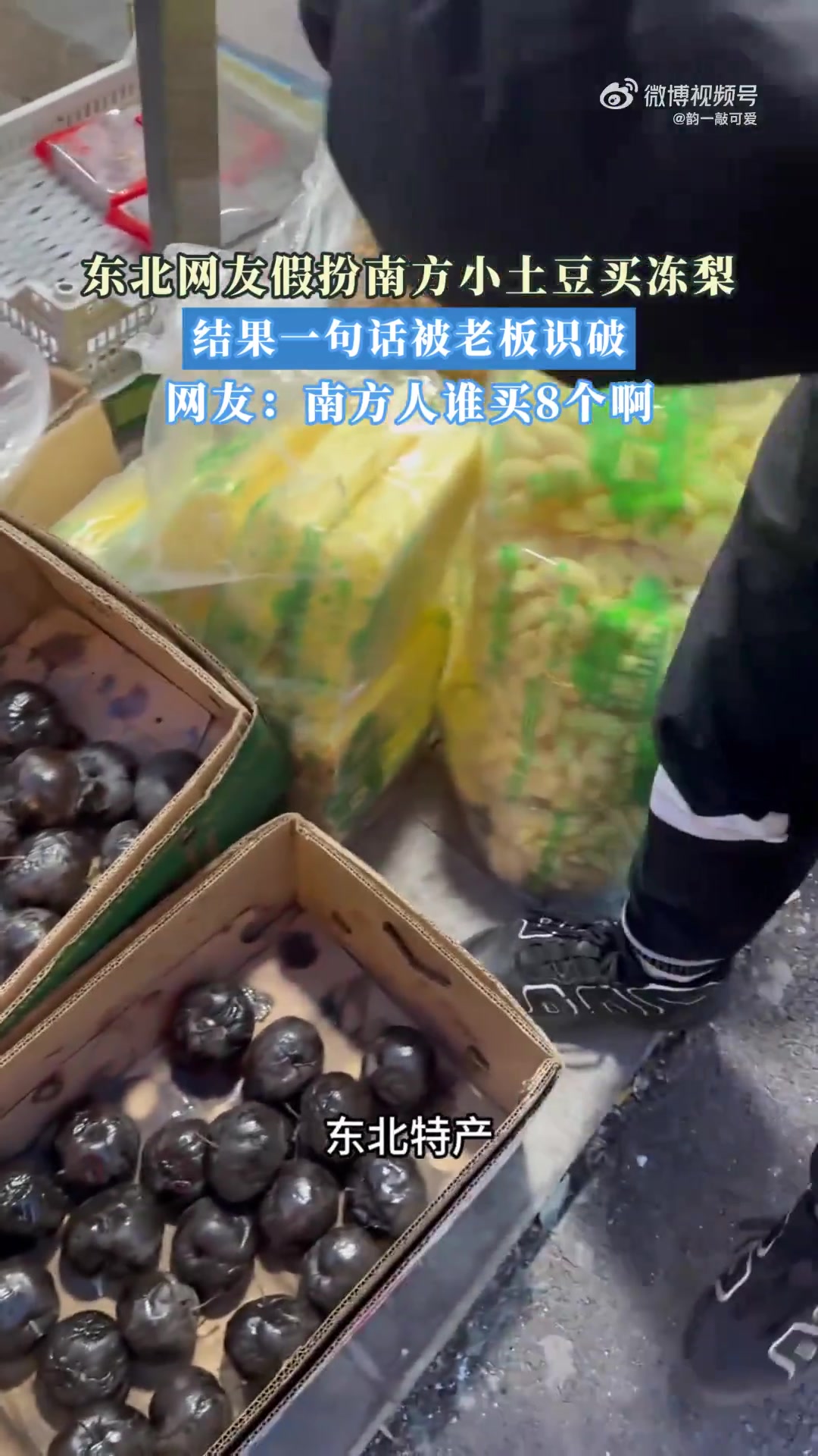 东北网友假扮南方小土豆买冻梨，结果一句话被老板识破！