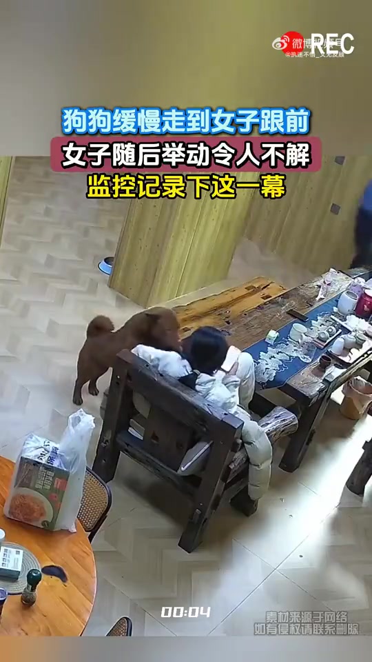 狗狗缓慢走到女子跟前，女子随后举动令人不解