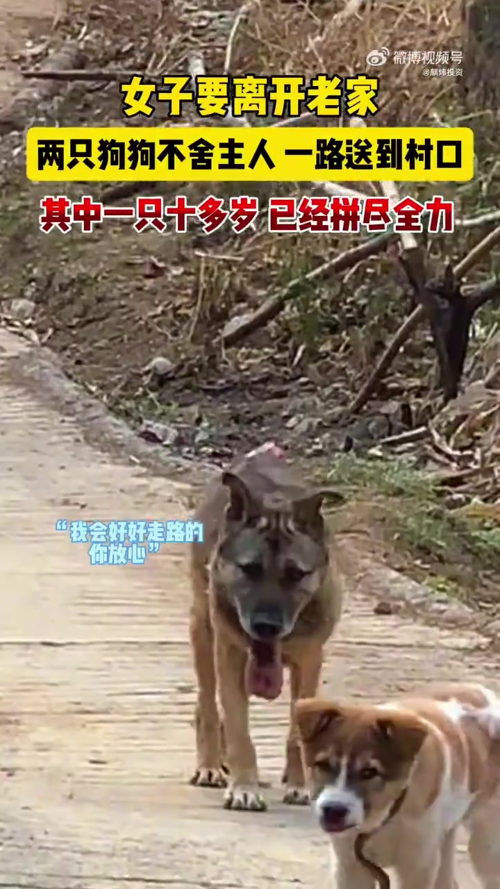 网友：下一次见面只能剩下回忆了