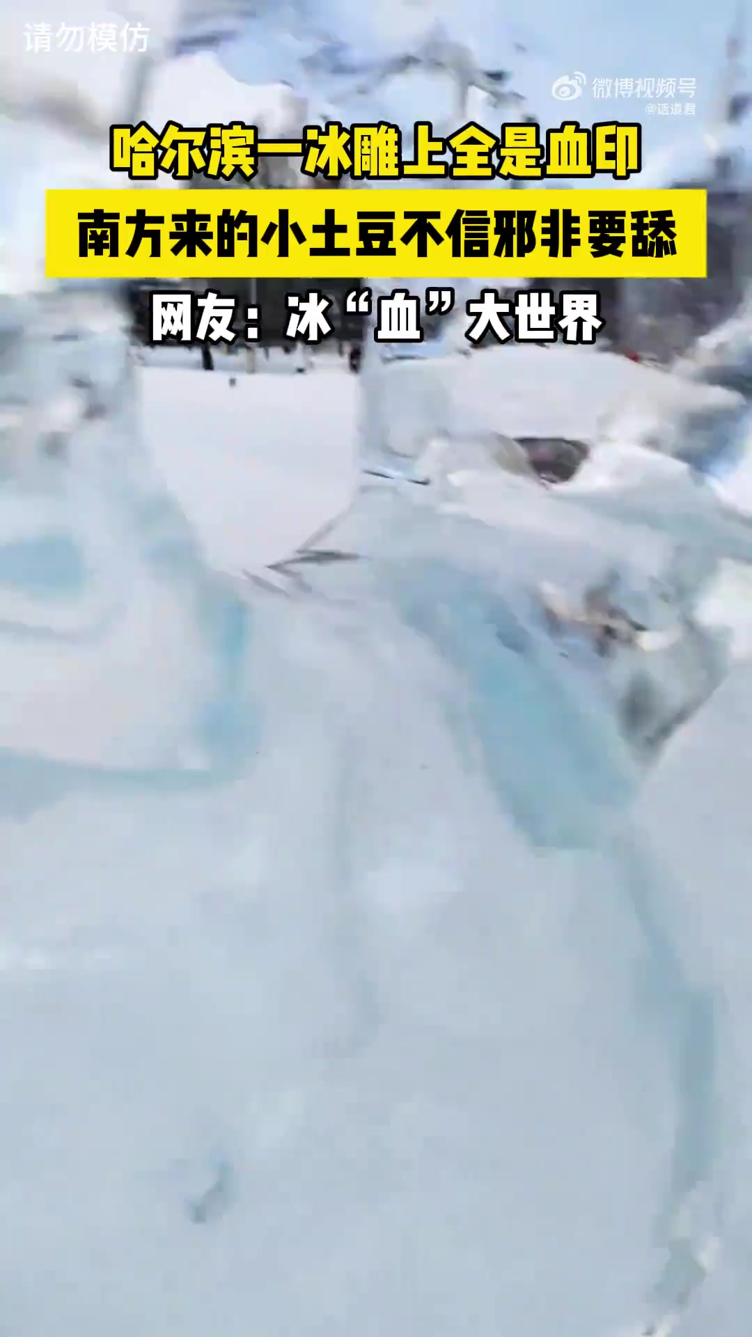 哈尔滨一冰雕上全是印，南方小土豆不信非要尝试！