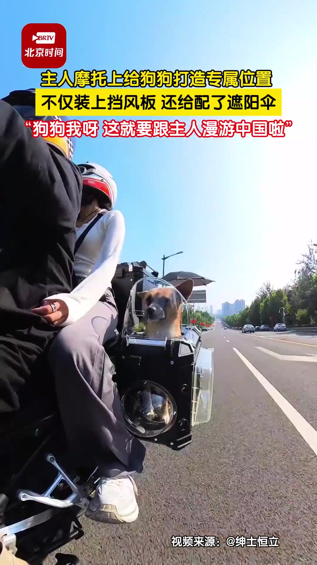 主人摩托上给狗狗打造专属位置，不仅装上挡风板，还给配遮阳伞