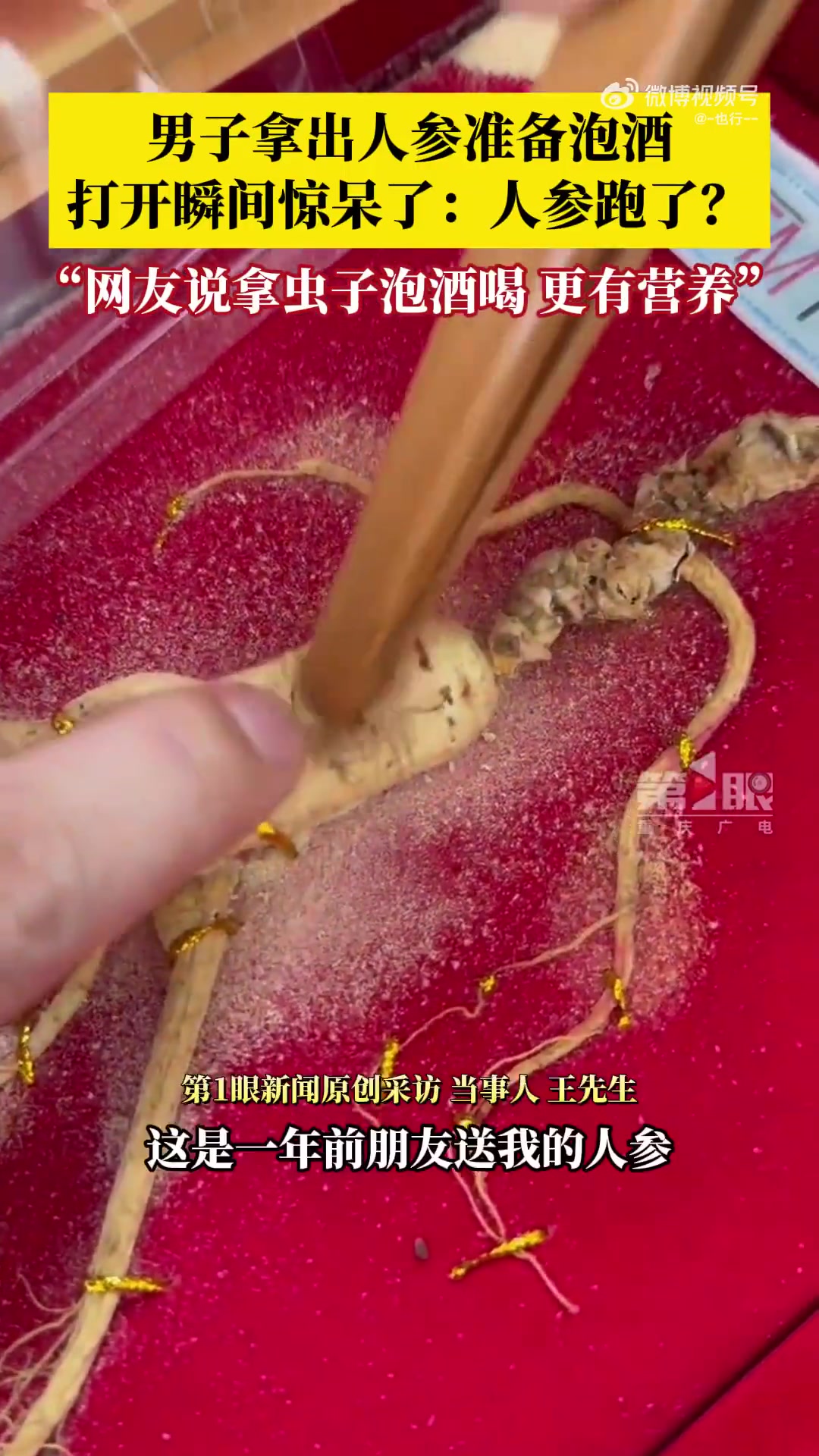 男子拿出人参准备泡酒却发现只剩空壳