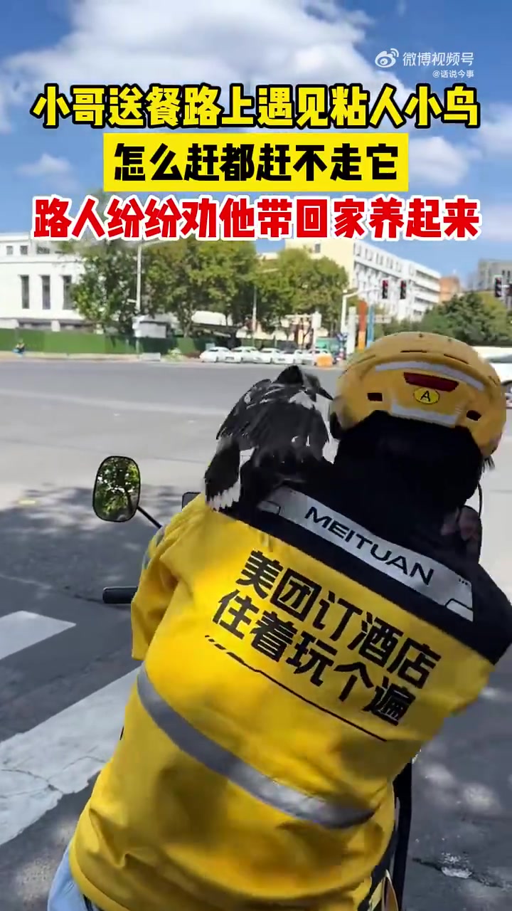 小哥送餐路上遇见粘人小鸟怎么赶都赶不走它