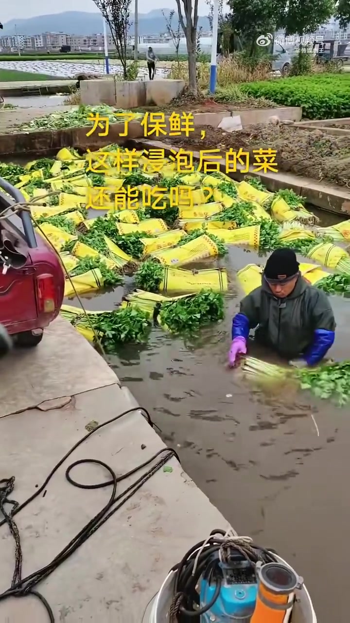 网上看到这个视频，这是在洗芹菜吗