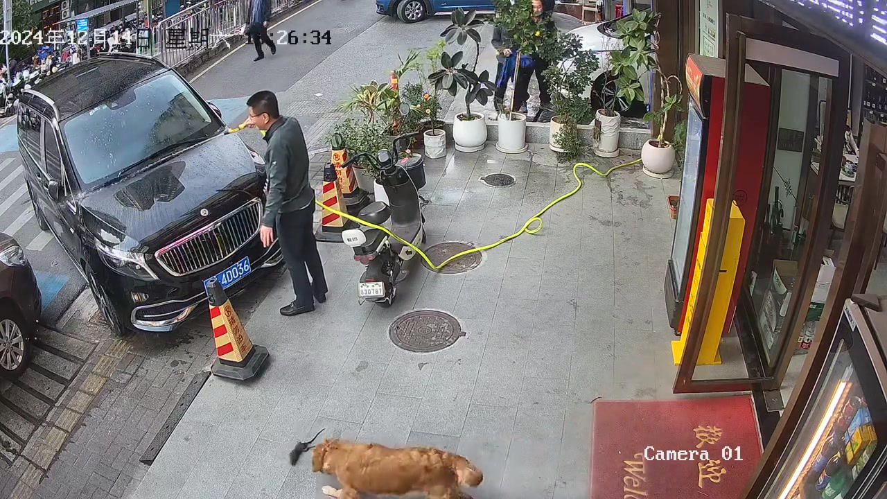 狗子这哪是抓老鼠啊，玩起来了