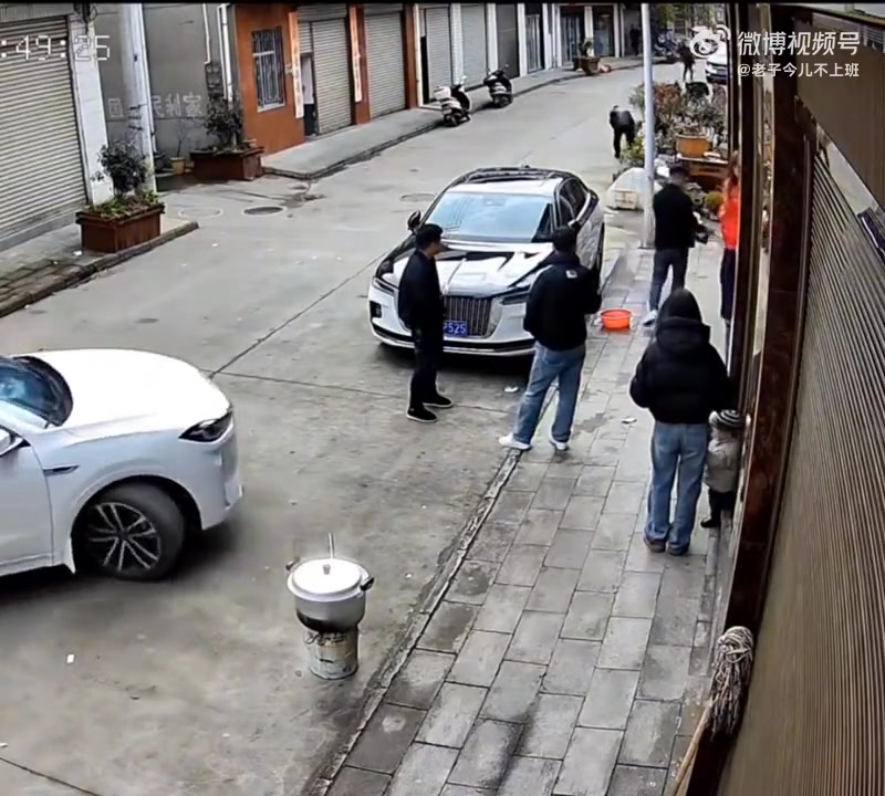 我的铁锅炖大鹅啊！